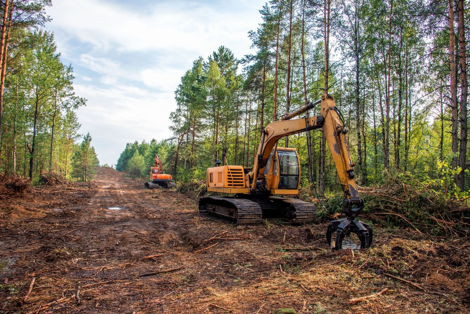 First Call Land Works excavator on a land clearing job site in Cookeville Tennessee